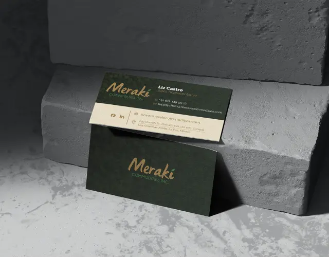 Imagen publicitaria de meraki
